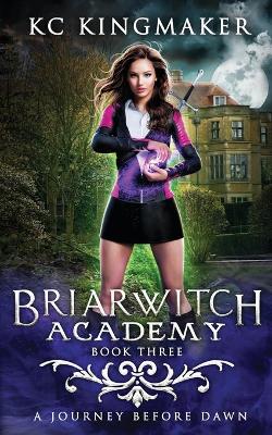 Book cover for Briarwitch Academy 3
