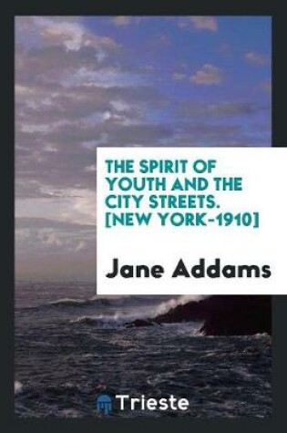 Cover of The Spirit of Youth and the City Streets. [new York-1910]