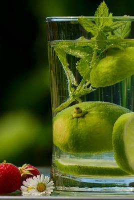 Book cover for A Glass of Refreshing Mint and Lime Water