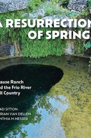 Cover of A Resurrection of Springs