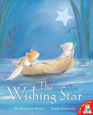 Book cover for The Wishing Star