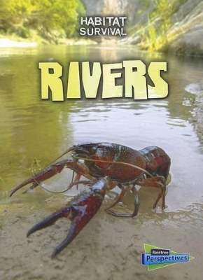 Book cover for Rivers (Habitat Survival)