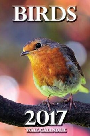 Cover of Birds 2017 Wall Calendar (UK Edition)