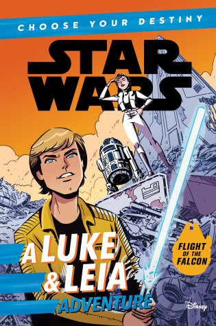 Cover of Star Wars: A Luke & Leia Adventure