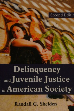 Cover of Delinquency and Juvenile Justice in American Society