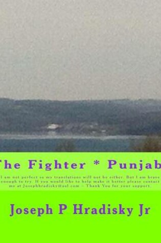 Cover of The Fighter * Punjabi