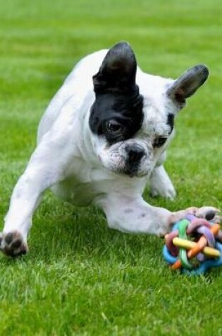 Cover of Darling French Bulldog Playing in the Park Dog Pet Journal