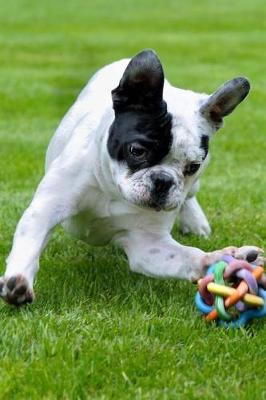 Book cover for Darling French Bulldog Playing in the Park Dog Pet Journal