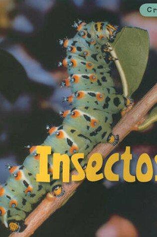 Cover of Insectos