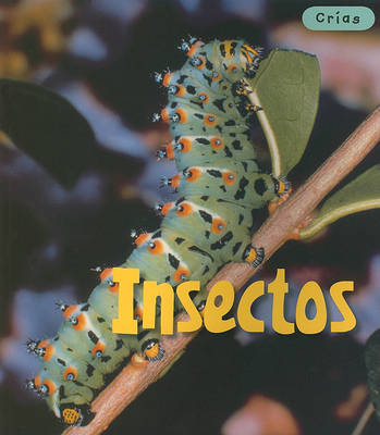 Book cover for Insectos