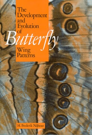 Cover of The Development and Evolution of Butterfly Wing Patterns