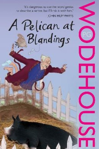 A Pelican at Blandings