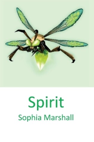 Cover of Spirit