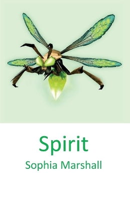 Book cover for Spirit