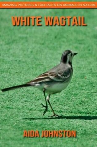 Cover of White Wagtail