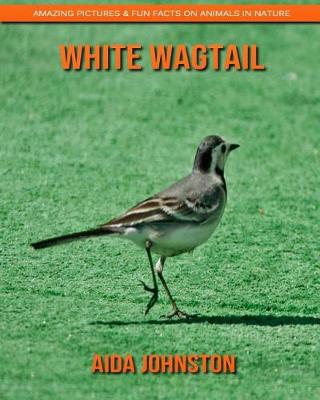 Book cover for White Wagtail