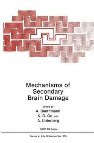 Cover of Mechanisms of Secondary Brain Damage