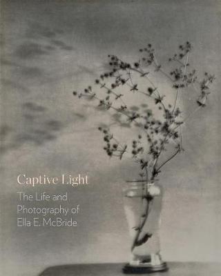 Book cover for Captive Light