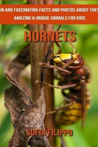 Cover of Hornets