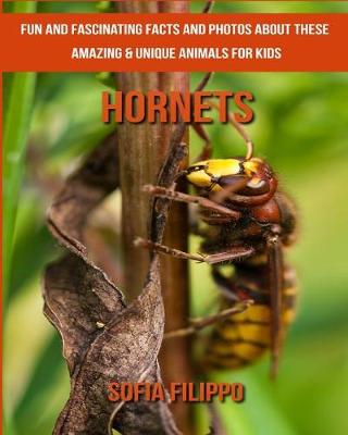 Book cover for Hornets