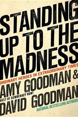Book cover for Standing Up to the Madness