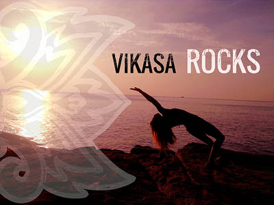 Book cover for Vikasa Rocks