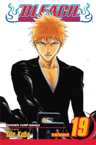 Cover of Bleach, Vol. 19