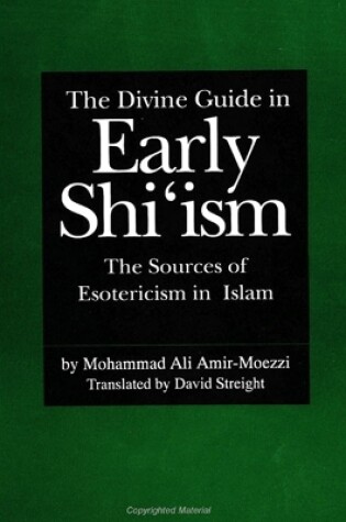 Cover of The Divine Guide in Early Shi'ism