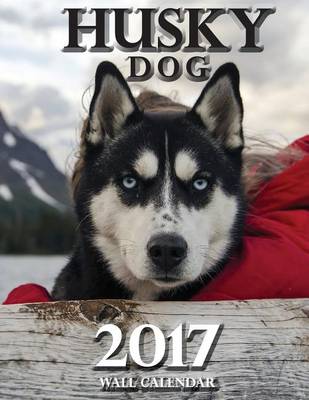 Book cover for Husky Dog 2017 Wall Calendar (UK Edition)