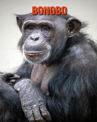 Book cover for Bonobo