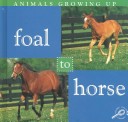 Book cover for Foal to Horse