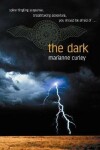 Book cover for The Dark