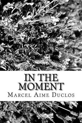 Book cover for In The Moment