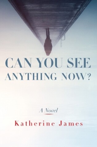 Cover of Can You See Anything Now?