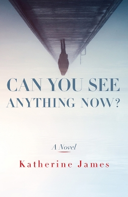 Book cover for Can You See Anything Now?