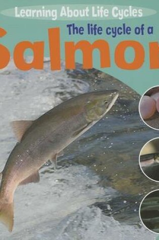 Cover of The Life Cycle of a Salmon