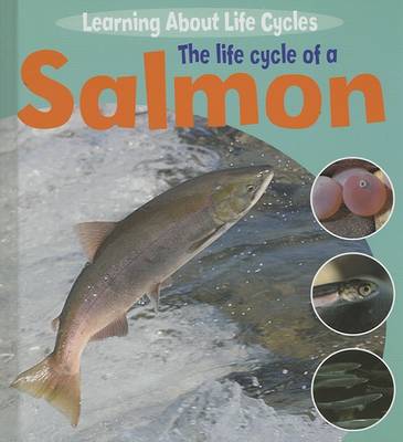 Book cover for The Life Cycle of a Salmon