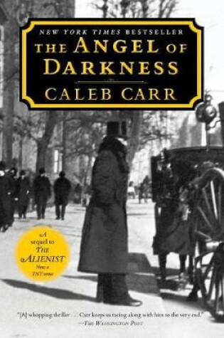 Cover of The Angel of Darkness