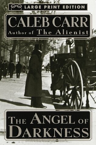 Cover of The Angel of Darkness