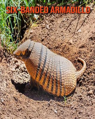 Book cover for Six-Banded Armadillo