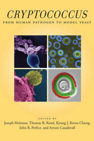 Cover of Cryptococcus