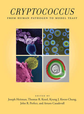 Book cover for Cryptococcus
