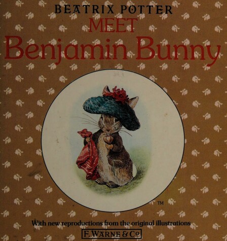 Book cover for Meet Benjamin Bunny