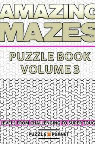 Cover of Amazing Mazes Puzzle Book 3 - Mazes for Adults