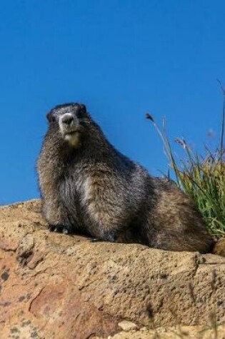 Cover of The Lounging Marmot Journal