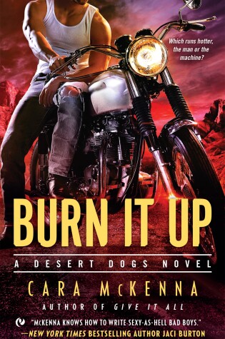Cover of Burn It Up