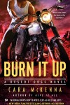 Book cover for Burn It Up