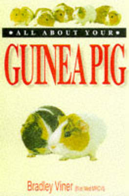 Book cover for All About Your Guinea Pig