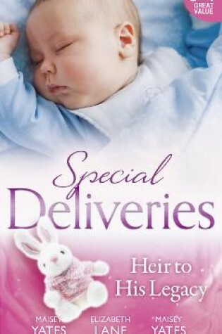 Cover of Special Deliveries: Heir To His Legacy
