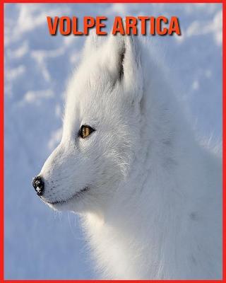 Book cover for Volpe Artica